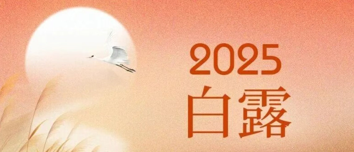 华兴宠物