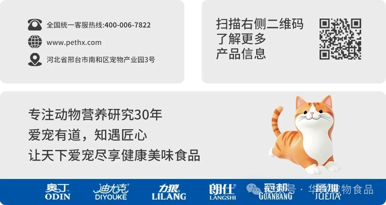 华兴宠物