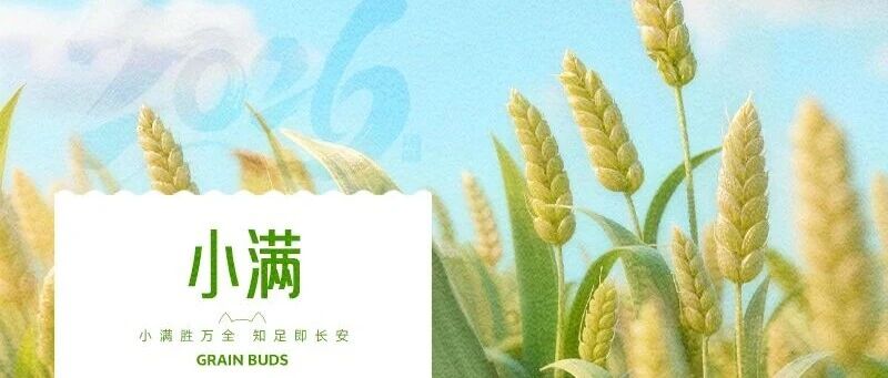 华兴宠物