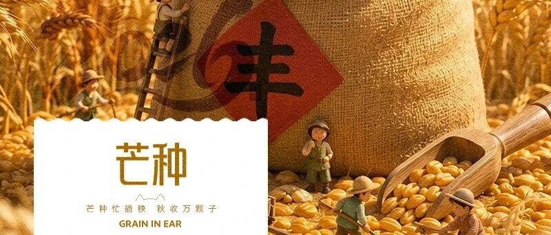 华兴宠物