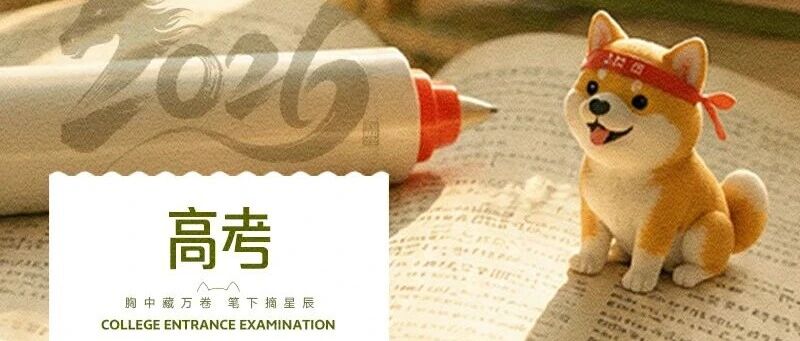 华兴宠物